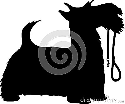 Scotty Dog and Leash Stock Photo